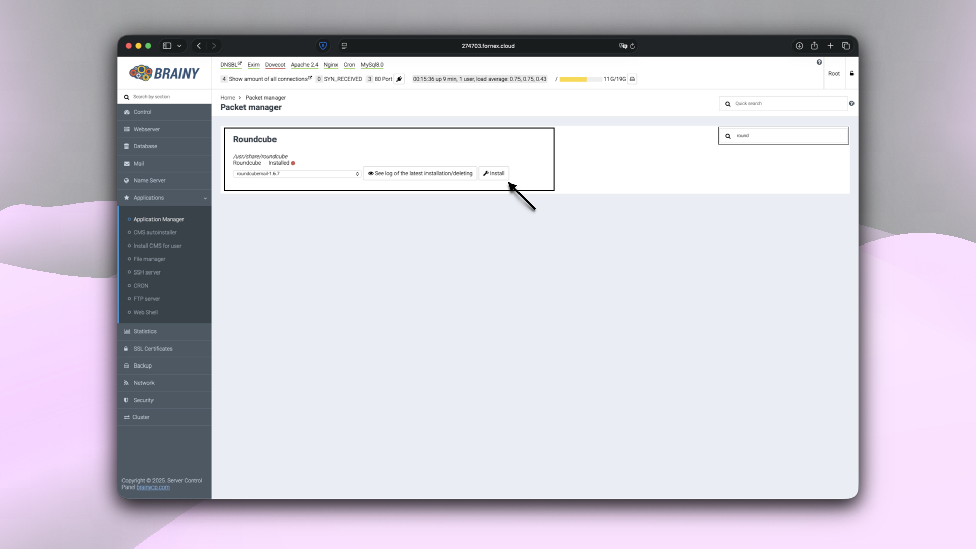 Installing an application in BrainyCP