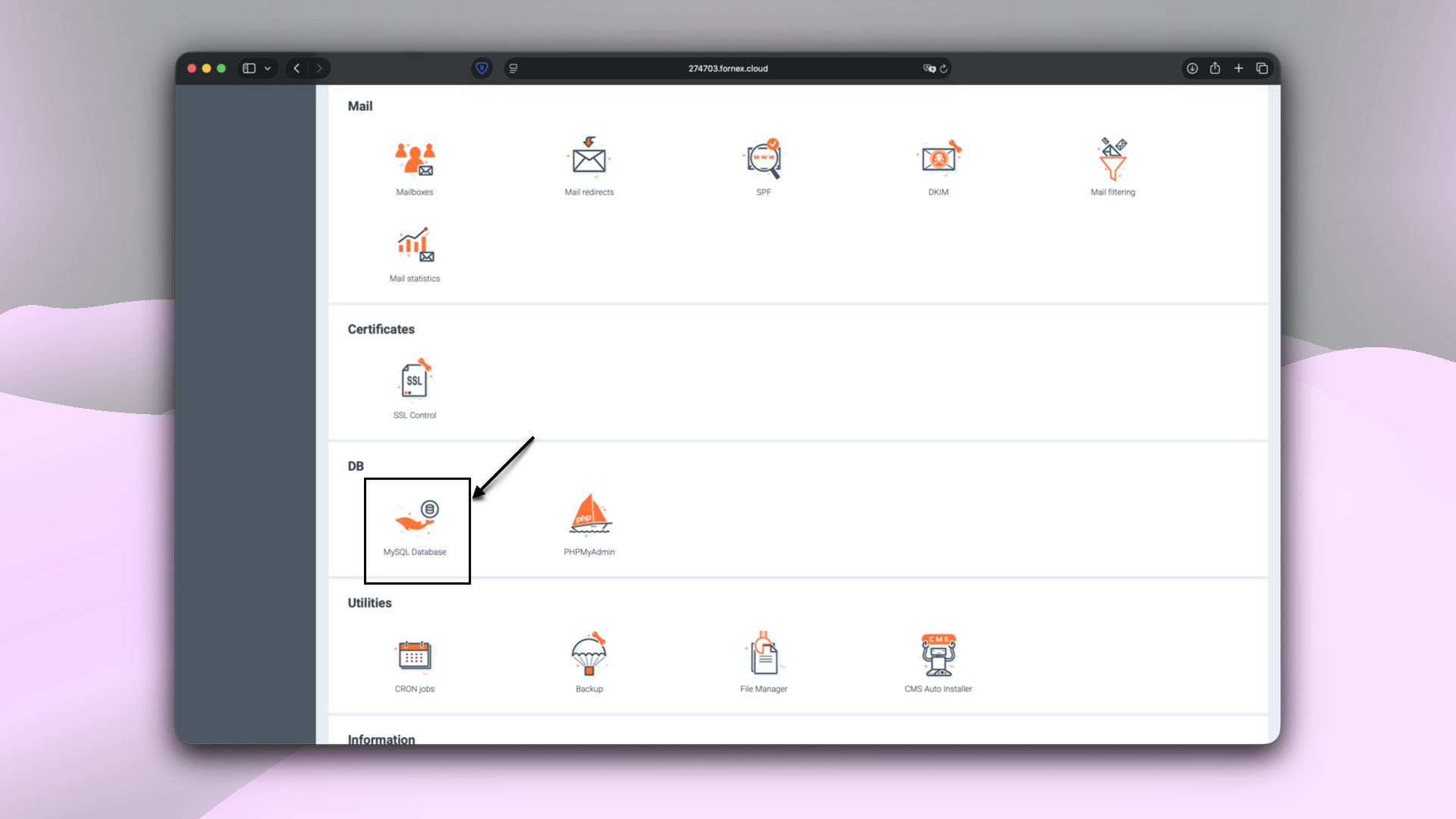 BrainyCP control panel sections