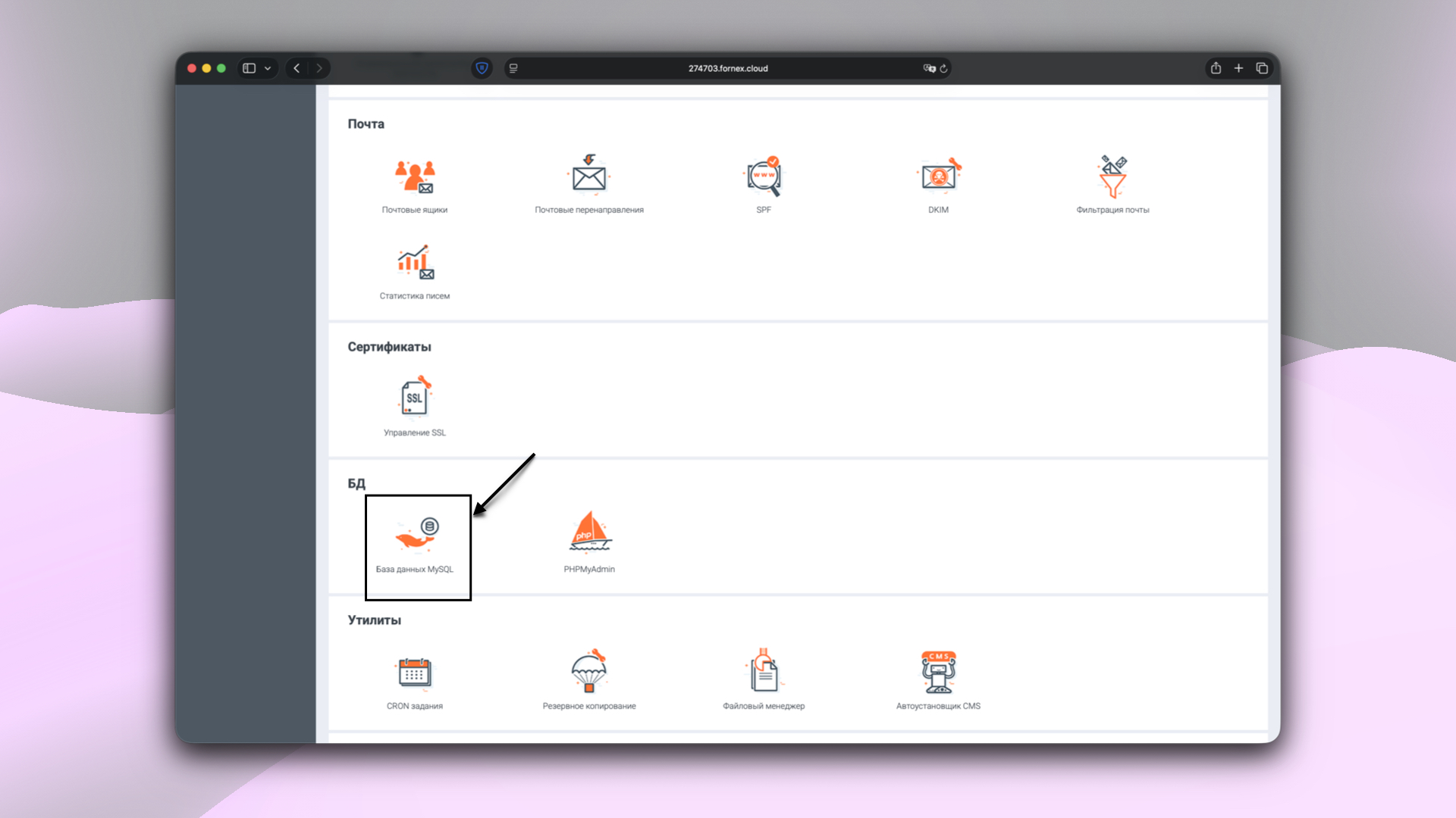 Разделы панели управления BrainyCP