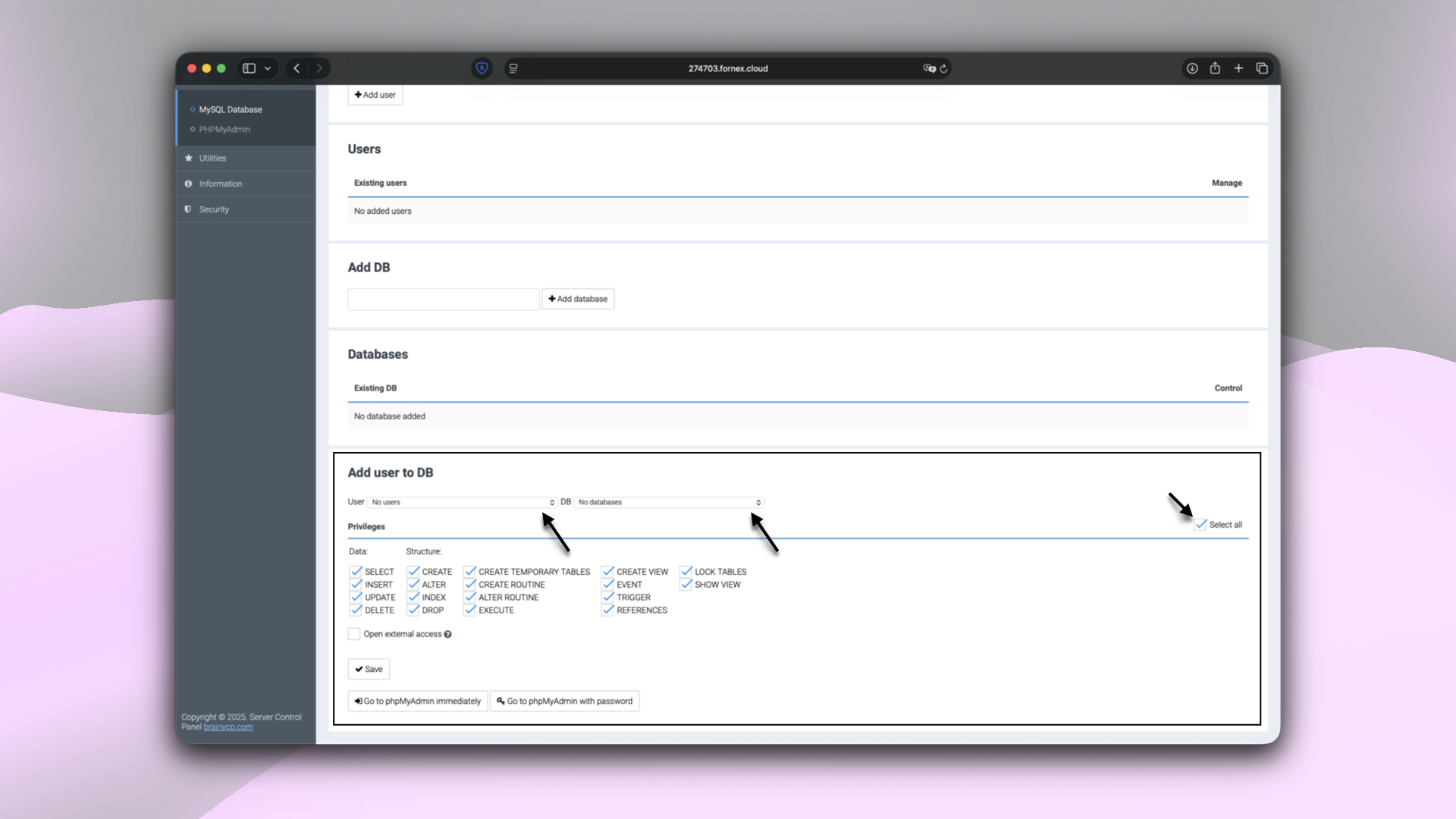 Configuring database user rights in BrainyCP
