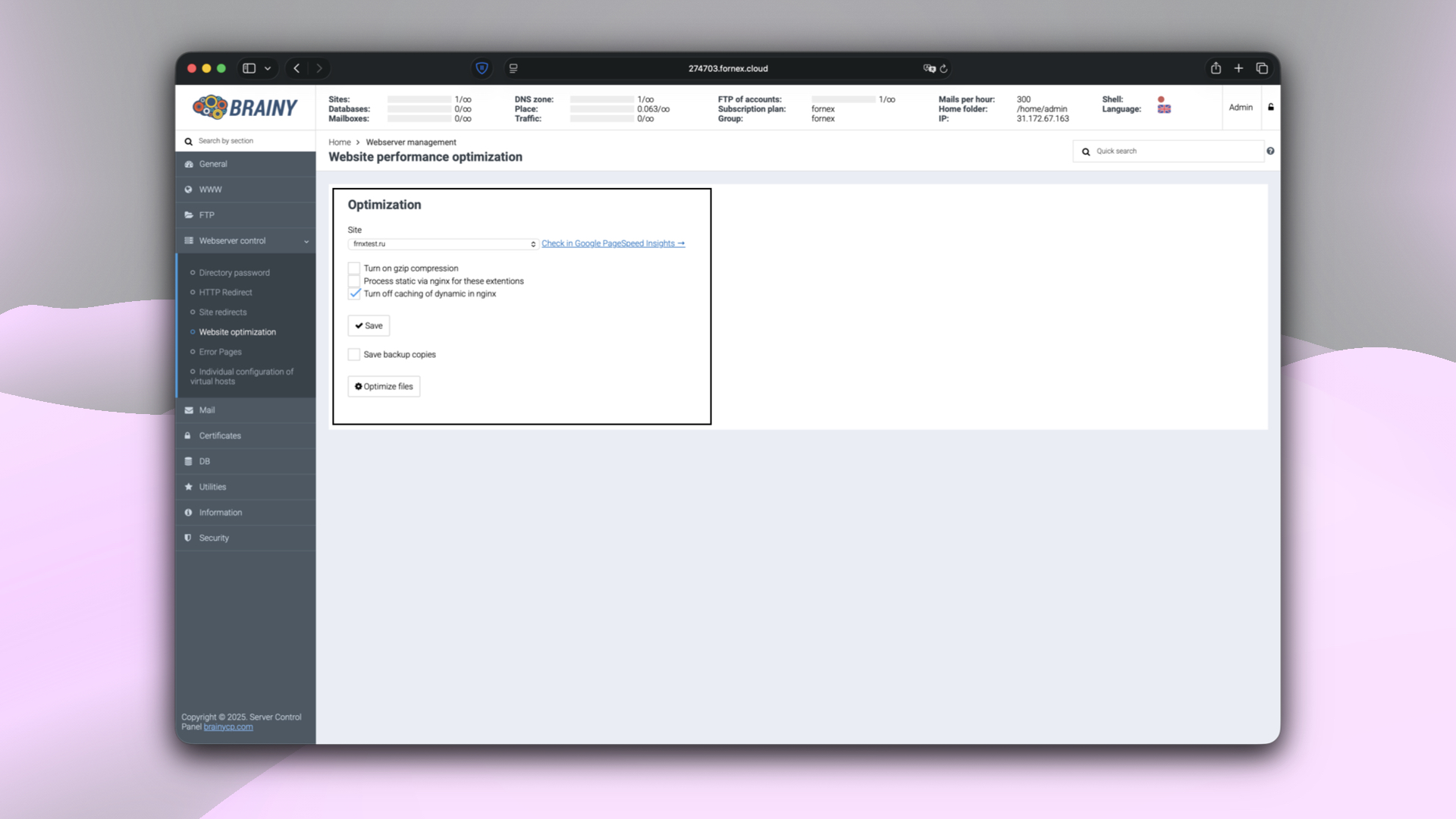 Site optimization in BrainyCP