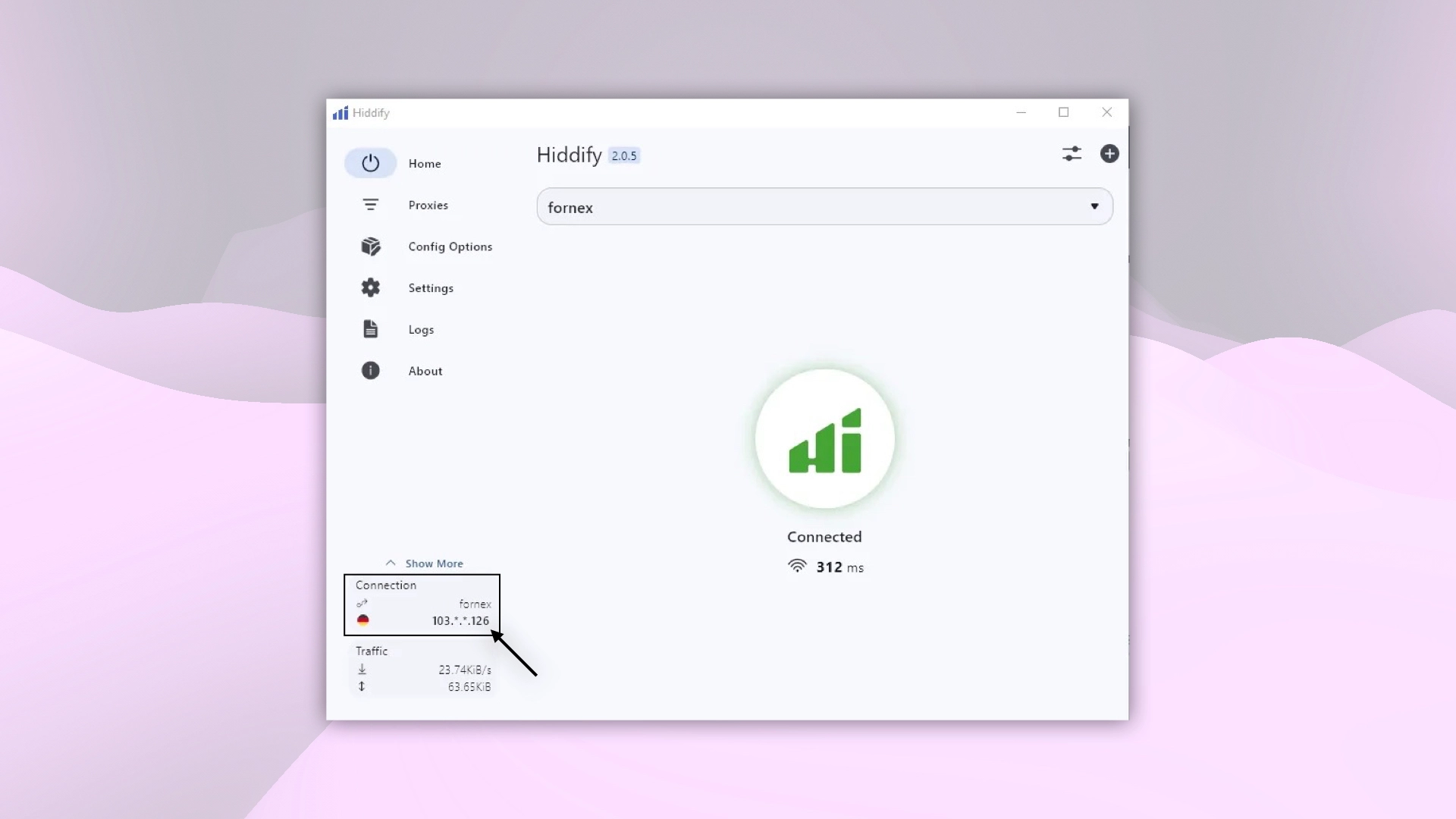 Checking the IP address after connecting to the VPN