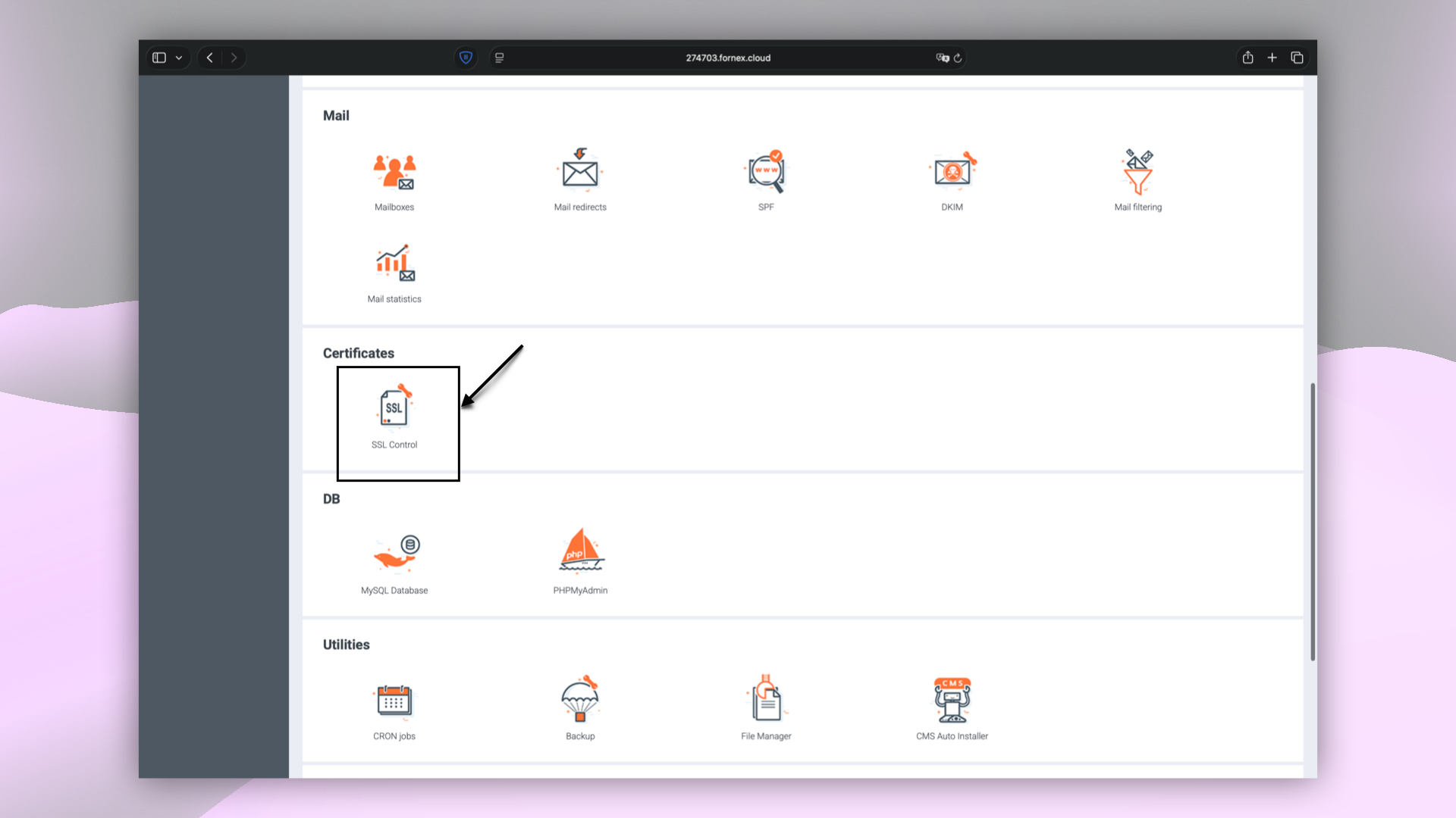 BrainyCP control panel sections