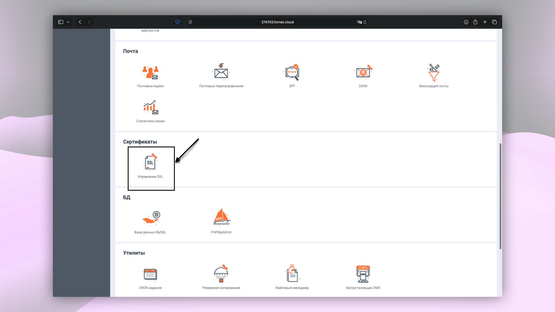 Разделы панели управления BrainyCP