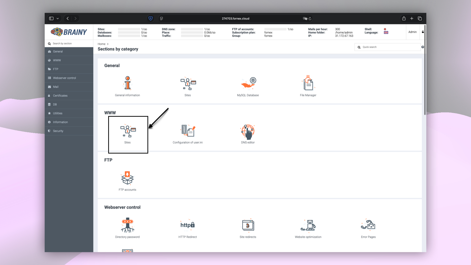 BrainyCP control panel sections