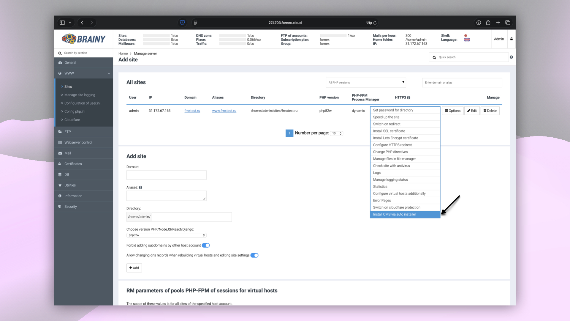 CMS installation options in BrainyCP