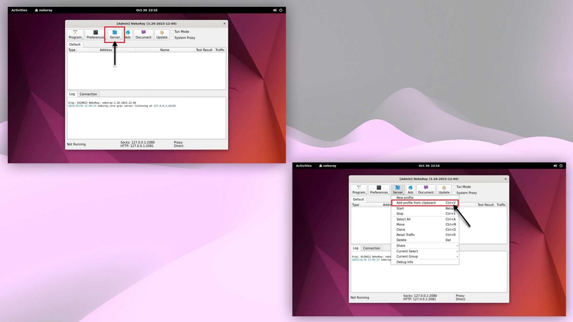 Starting and adding VPN profile to Nekoray