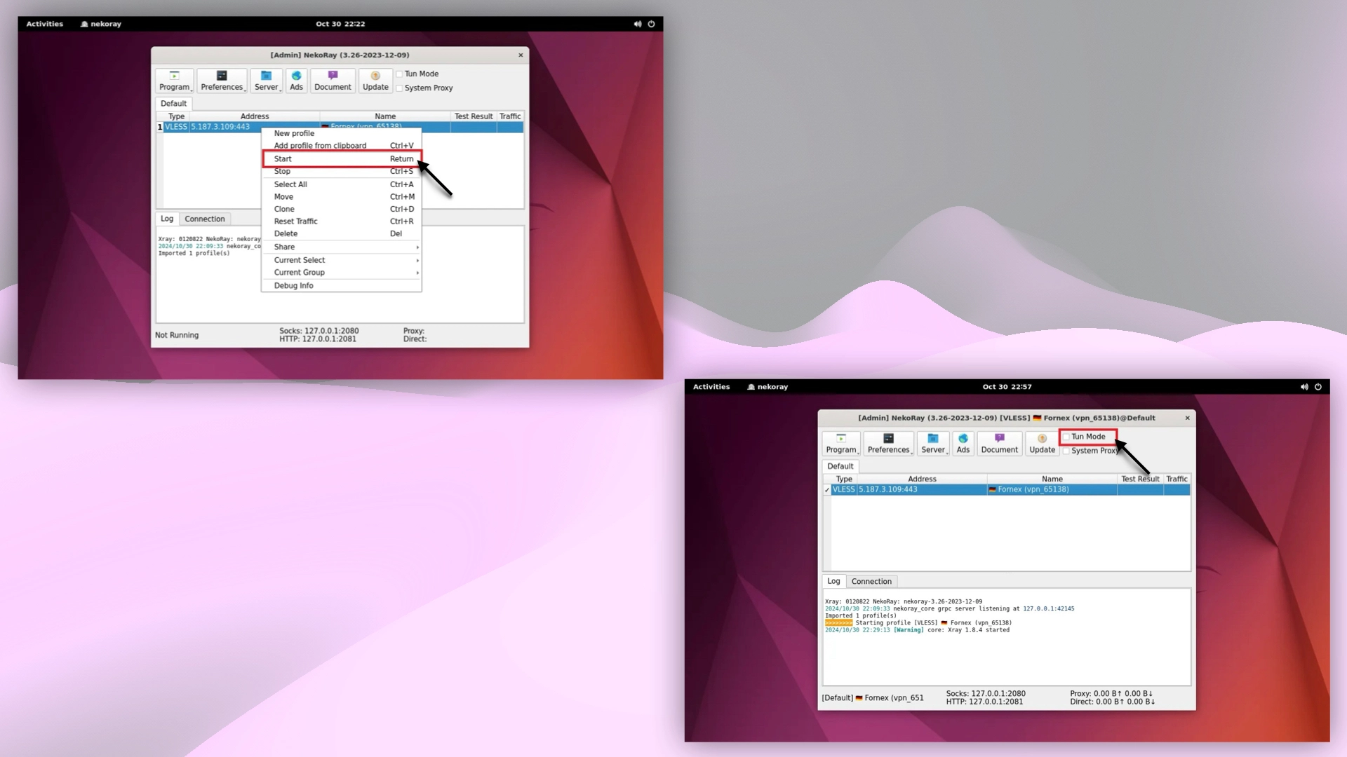Connecting to VPN in Nekoray