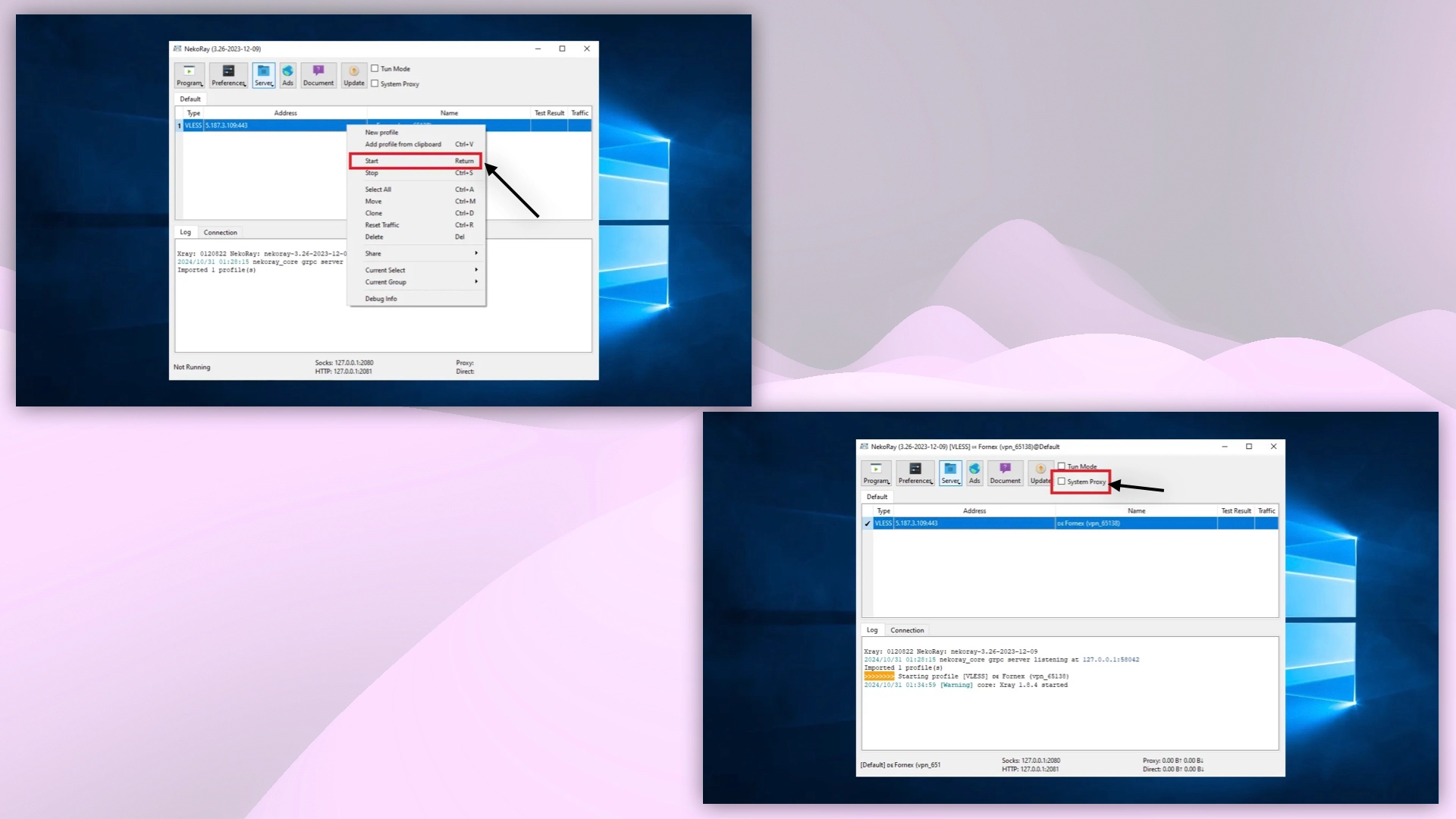 Connecting to VPN in Nekoray
