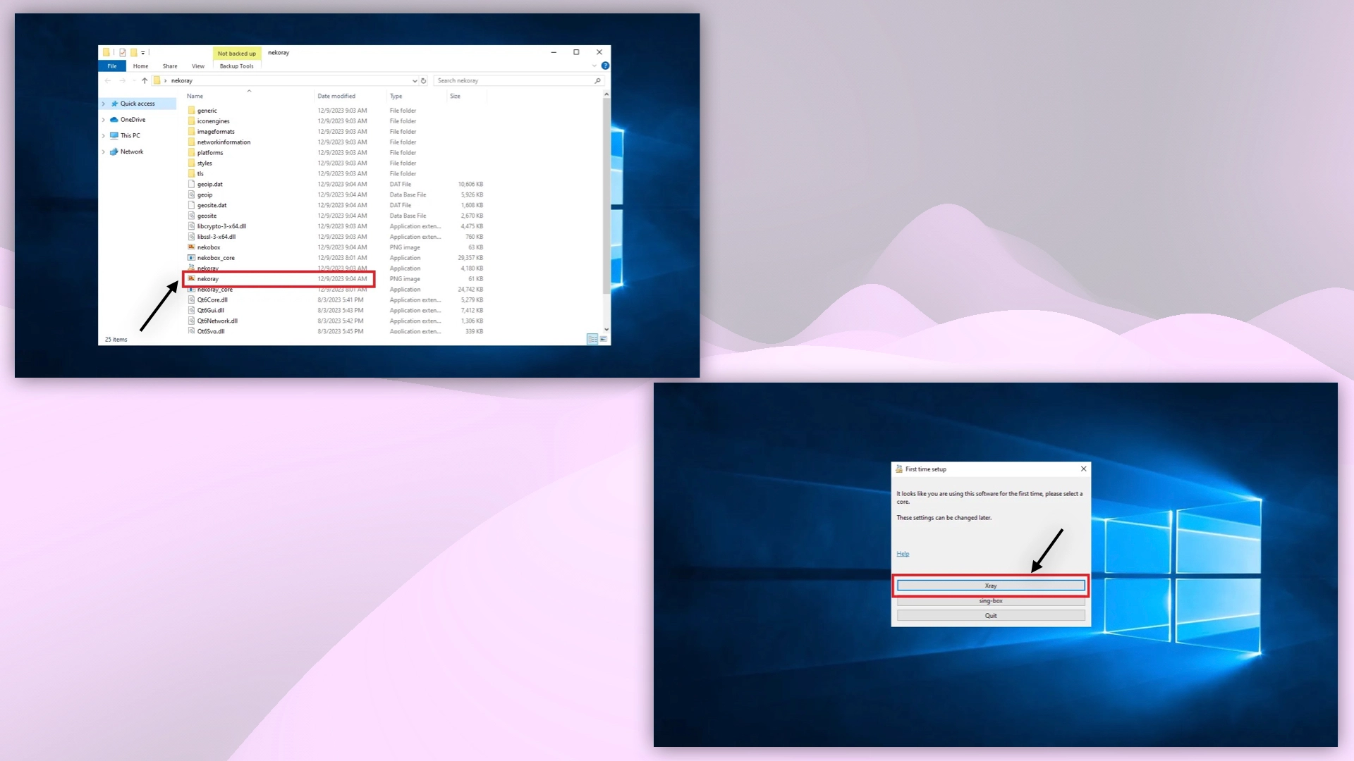 Nekoray in directory
