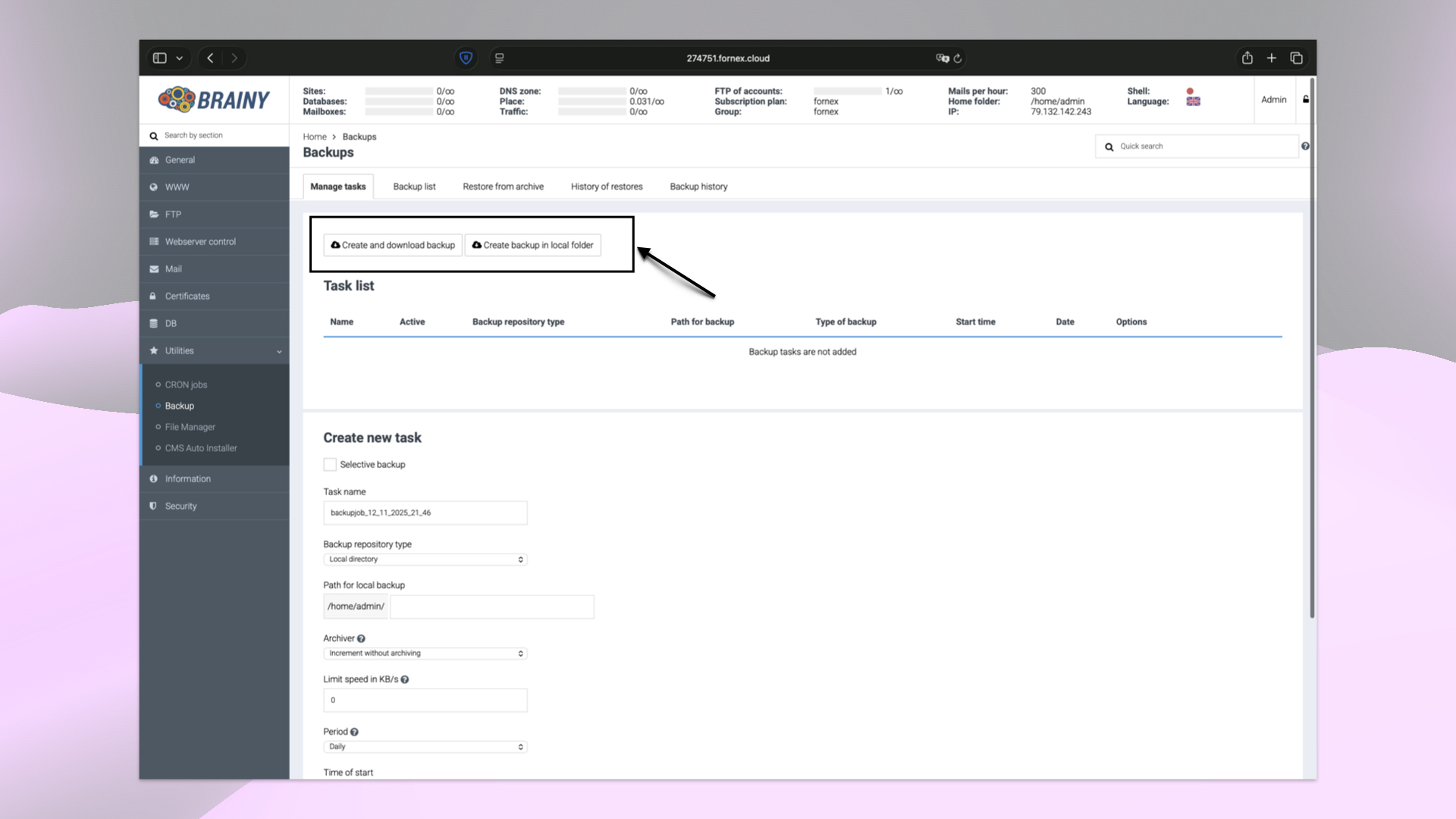 Manual Backup Options in BrainyCP