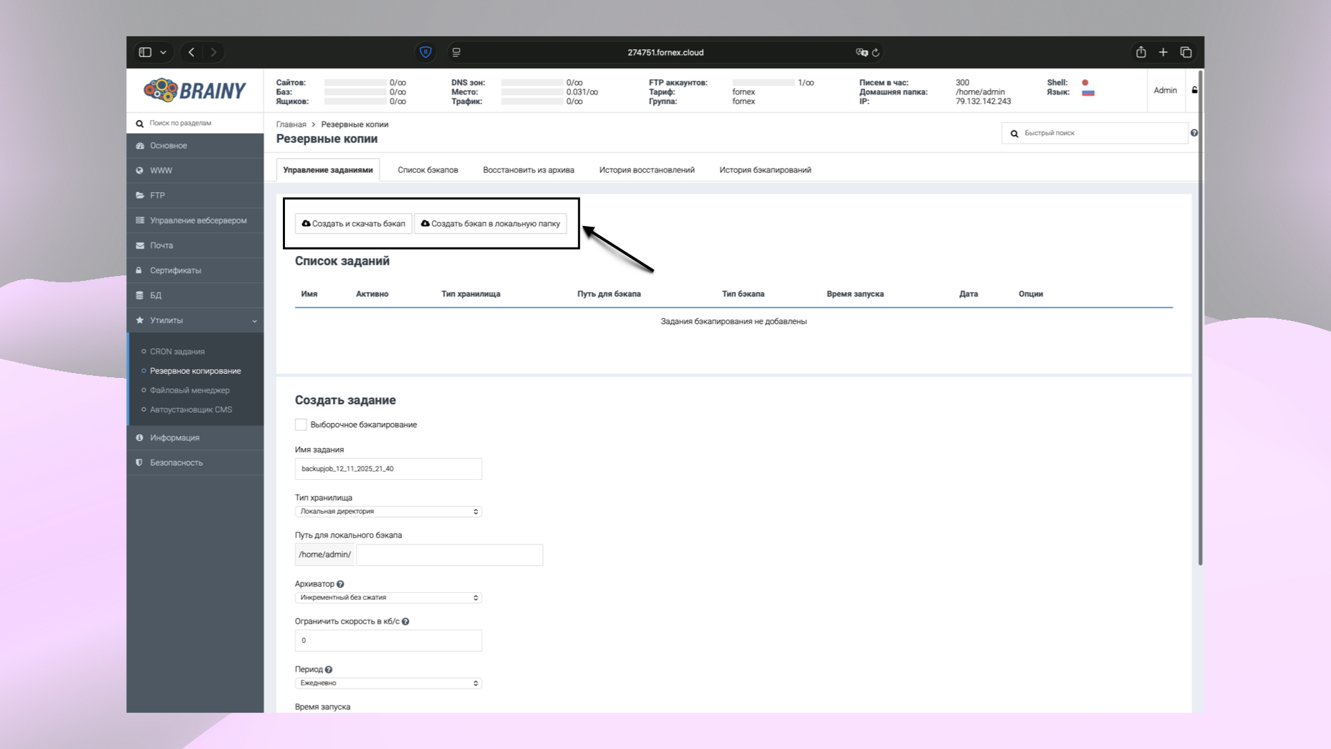 Варианты ручного создания бэкапа в BrainyCP