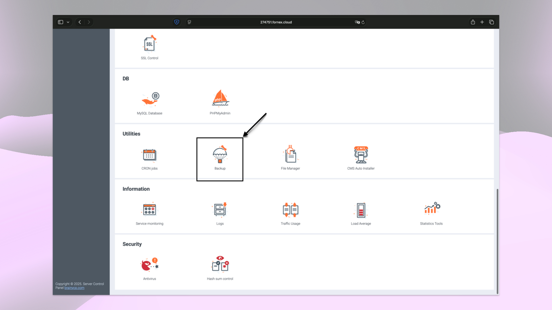Control Panel Sections in BrainyCP