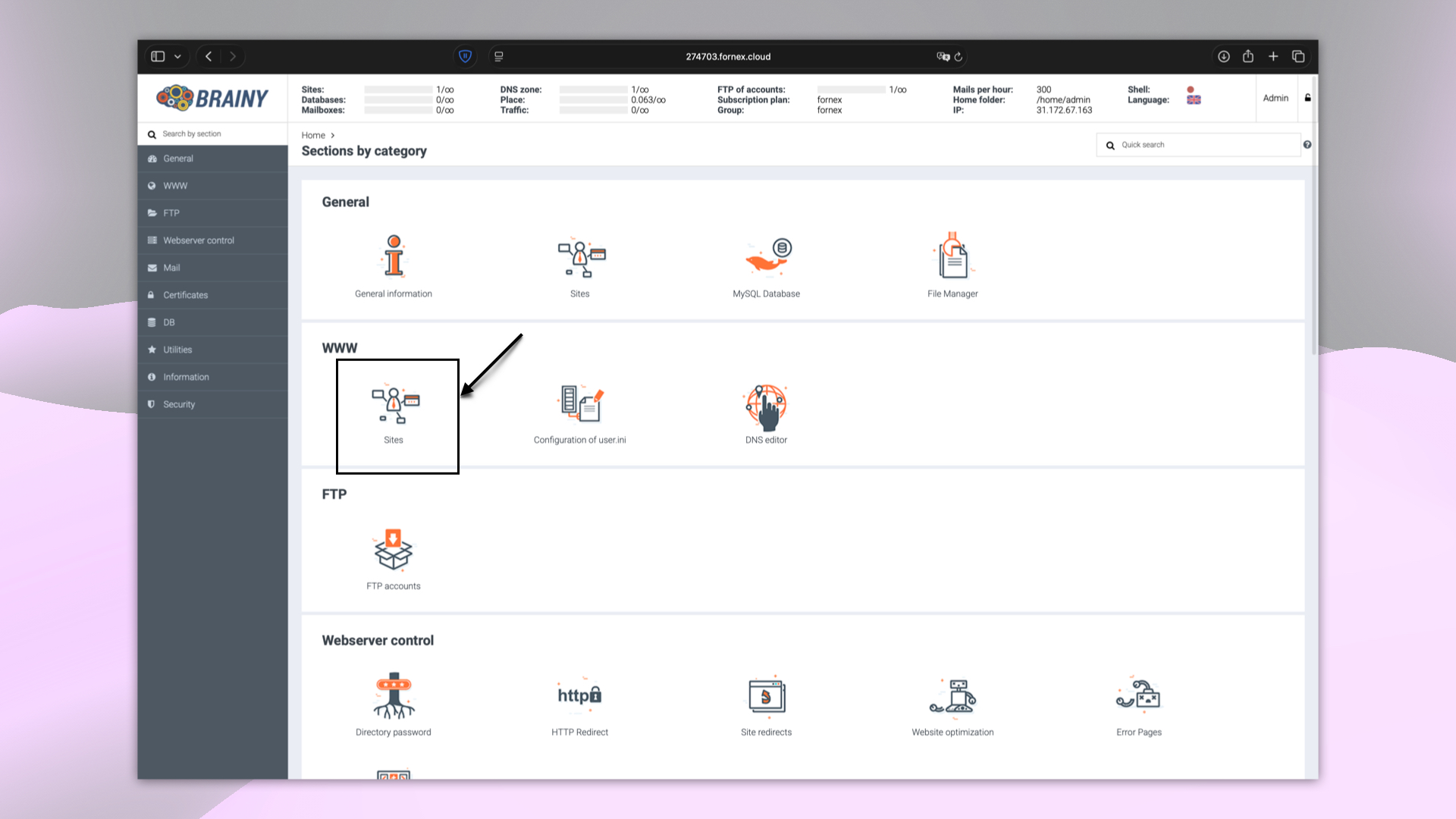 Control Panel Sections in BrainyCP