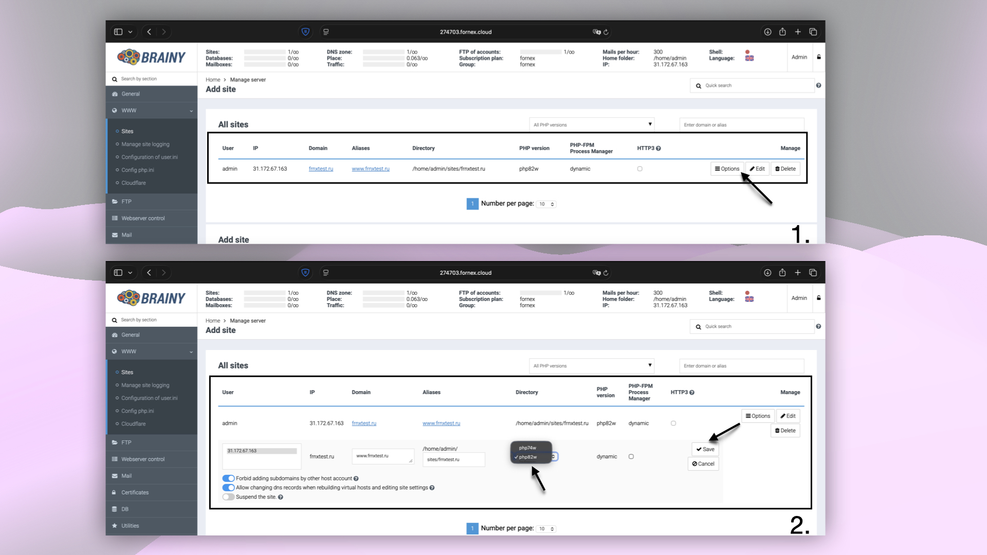 Domain settings and server management in BrainyCP