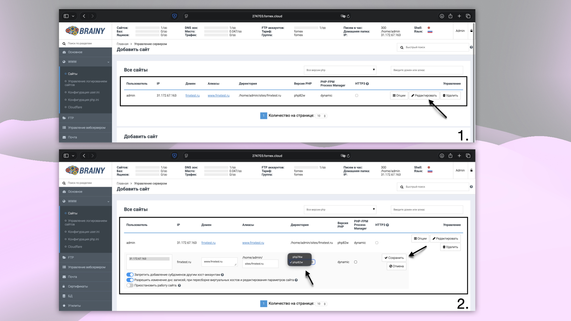 Настройки домена и управление сервером в BrainyCP