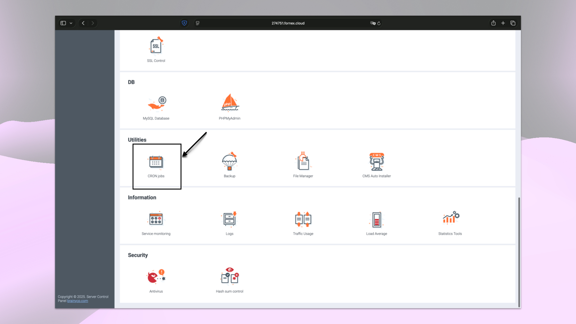 Setting up cron tasks in BrainyCP