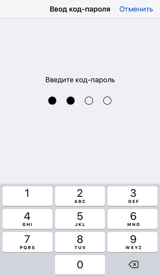 IMG_9454.PNG