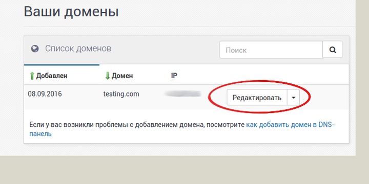 dns2.png